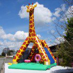 grande-girafe-obstacles-1-1024x768